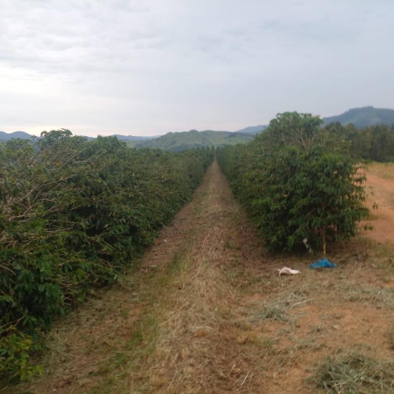 Fazenda, Zona Rural, 0 Quarto, 0 Vaga