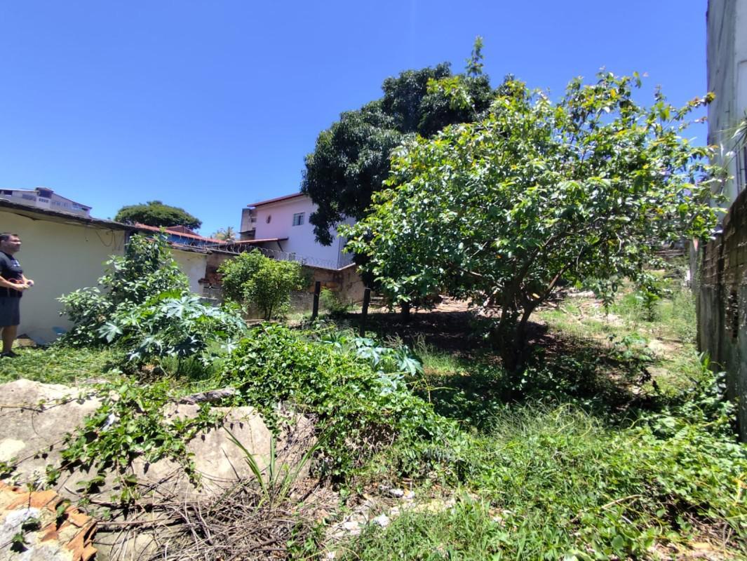 Lote, Planalto, 0 Quarto, 0 Vaga