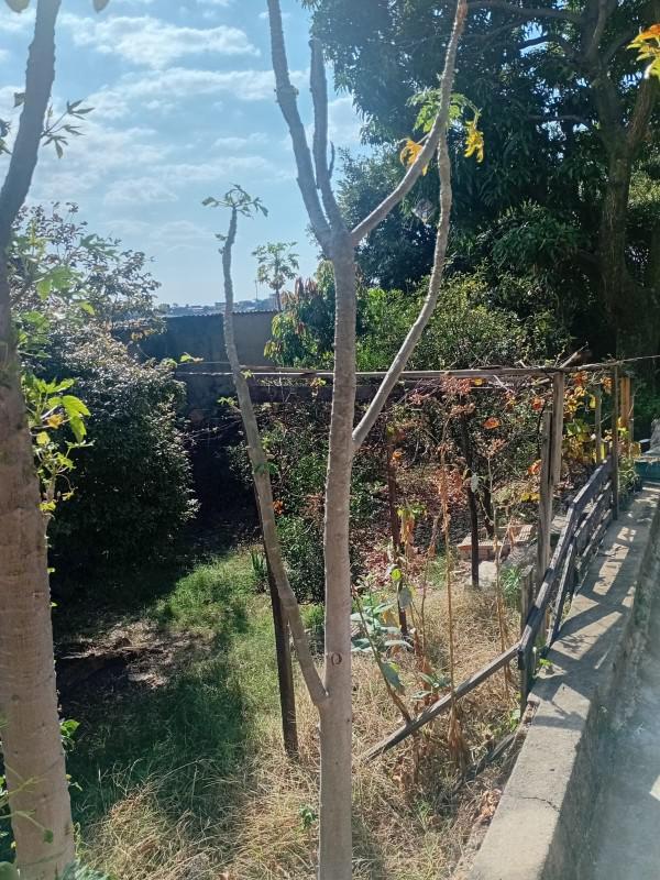 Casa, Pindorama, 3 Quartos, 2 Vagas