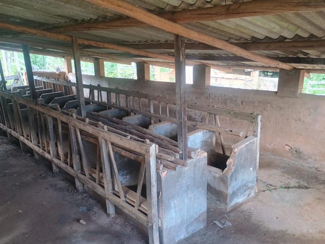 Fazenda, Centro, 0 Quarto, 0 Vaga