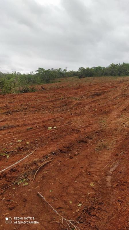 Lote, Centro, 0 Quarto, 0 Vaga
