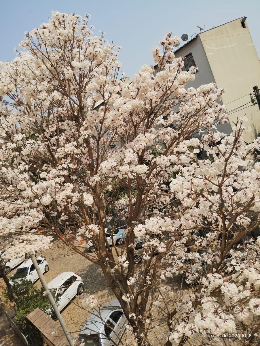 Apartamento, Solar do Barreiro, 2 Quartos, 1 Vaga