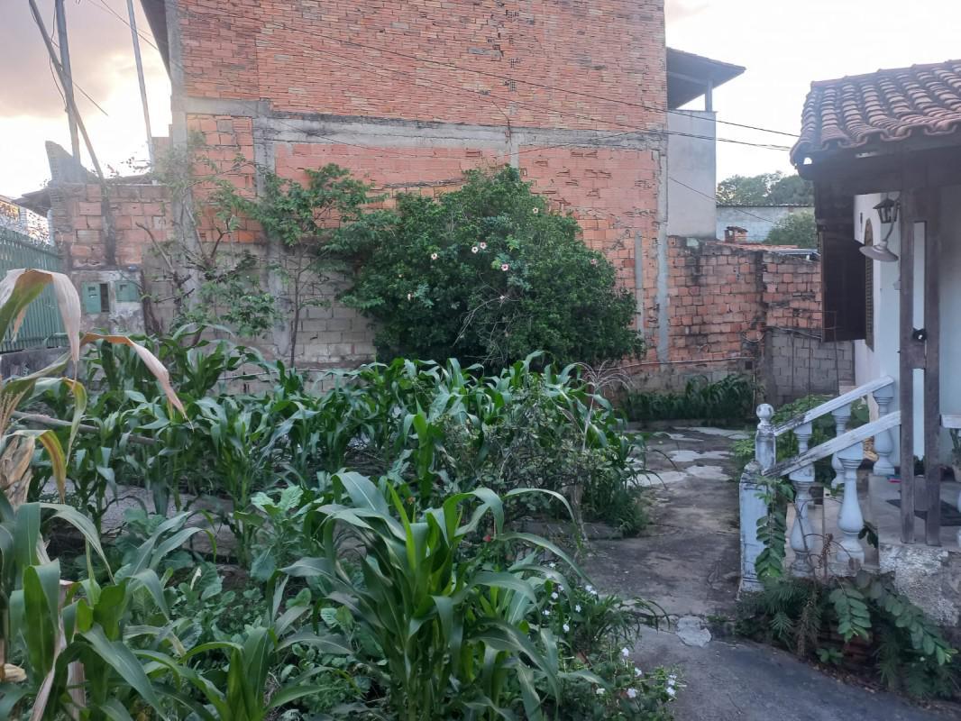 Lote, Planalto, 0 Quarto, 0 Vaga