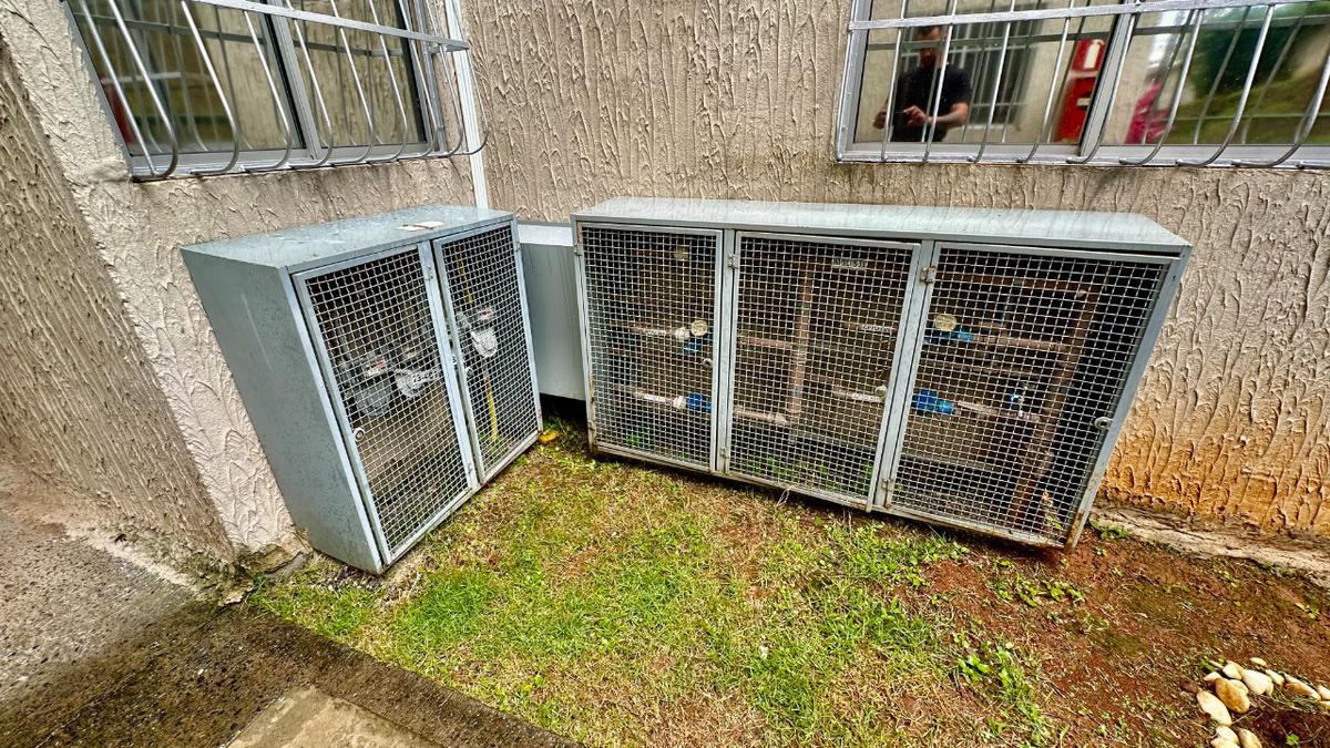 Apartamento, Santa Amélia, 2 Quartos, 1 Vaga