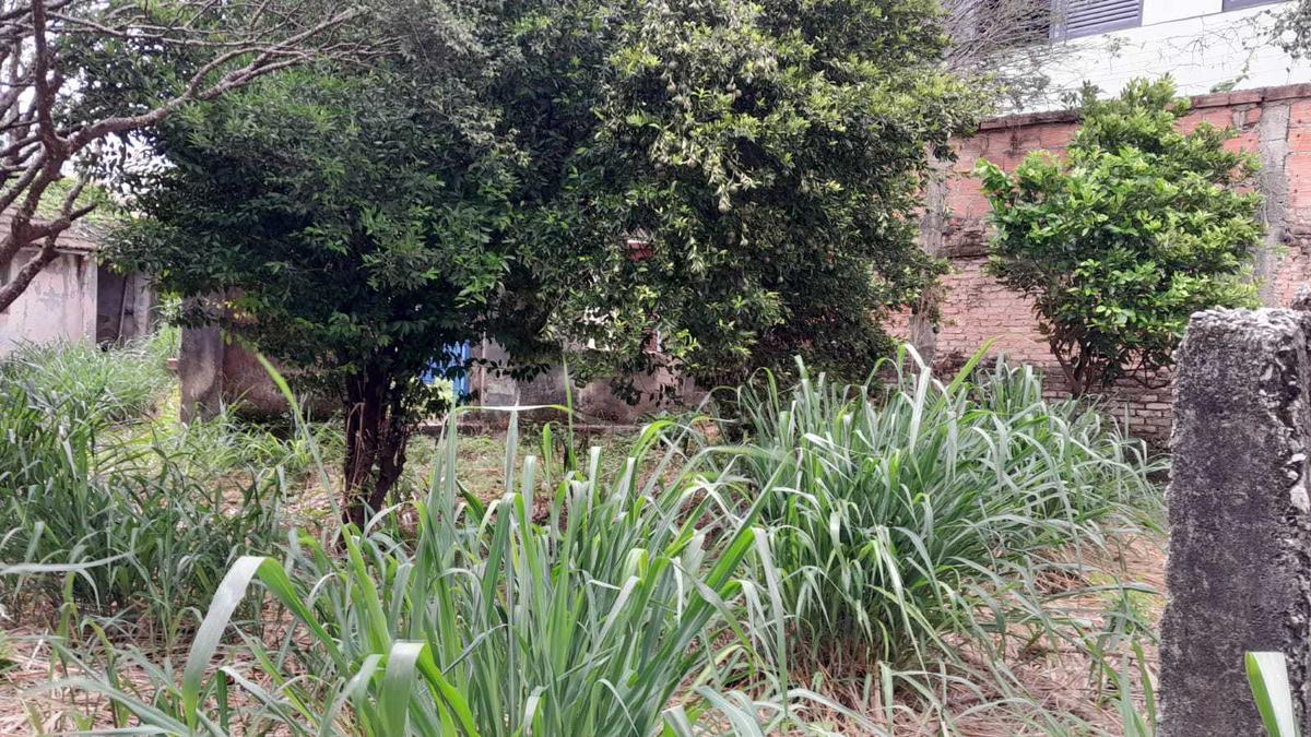 Lote, Nova Suíssa, 0 Quarto, 0 Vaga