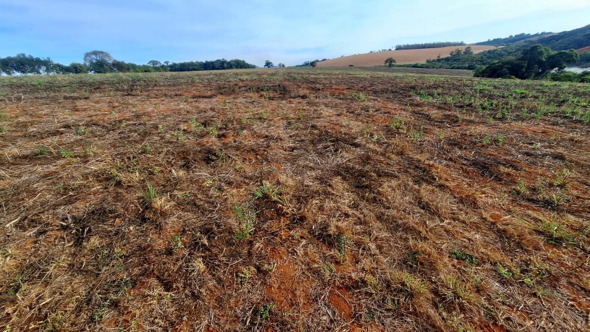 Fazenda, Zona Rural, 0 Quarto, 0 Vaga