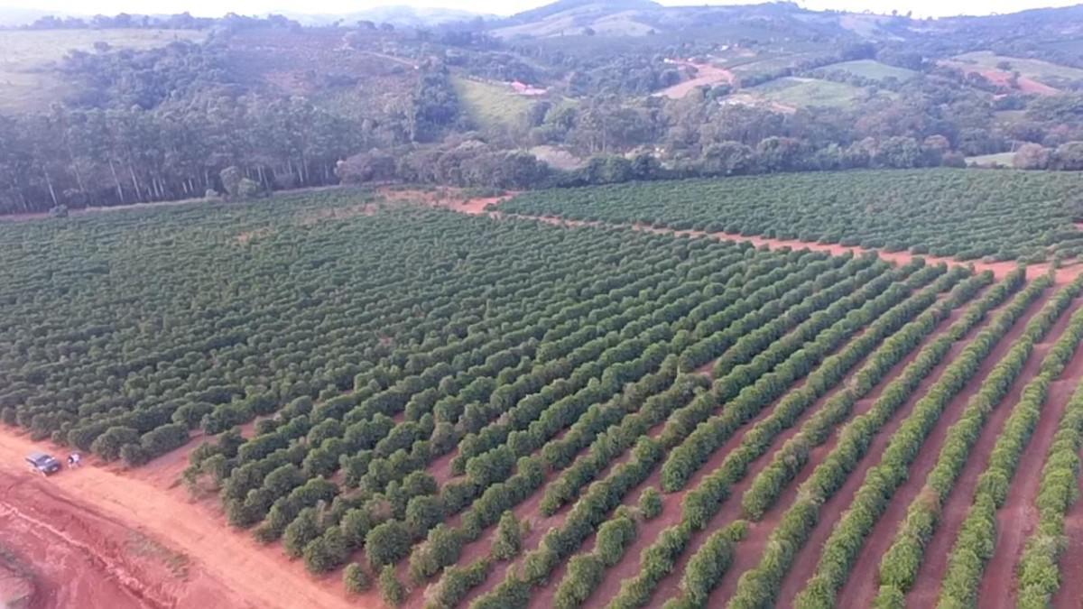 Fazenda, Zona Rural, 0 Quarto, 0 Vaga