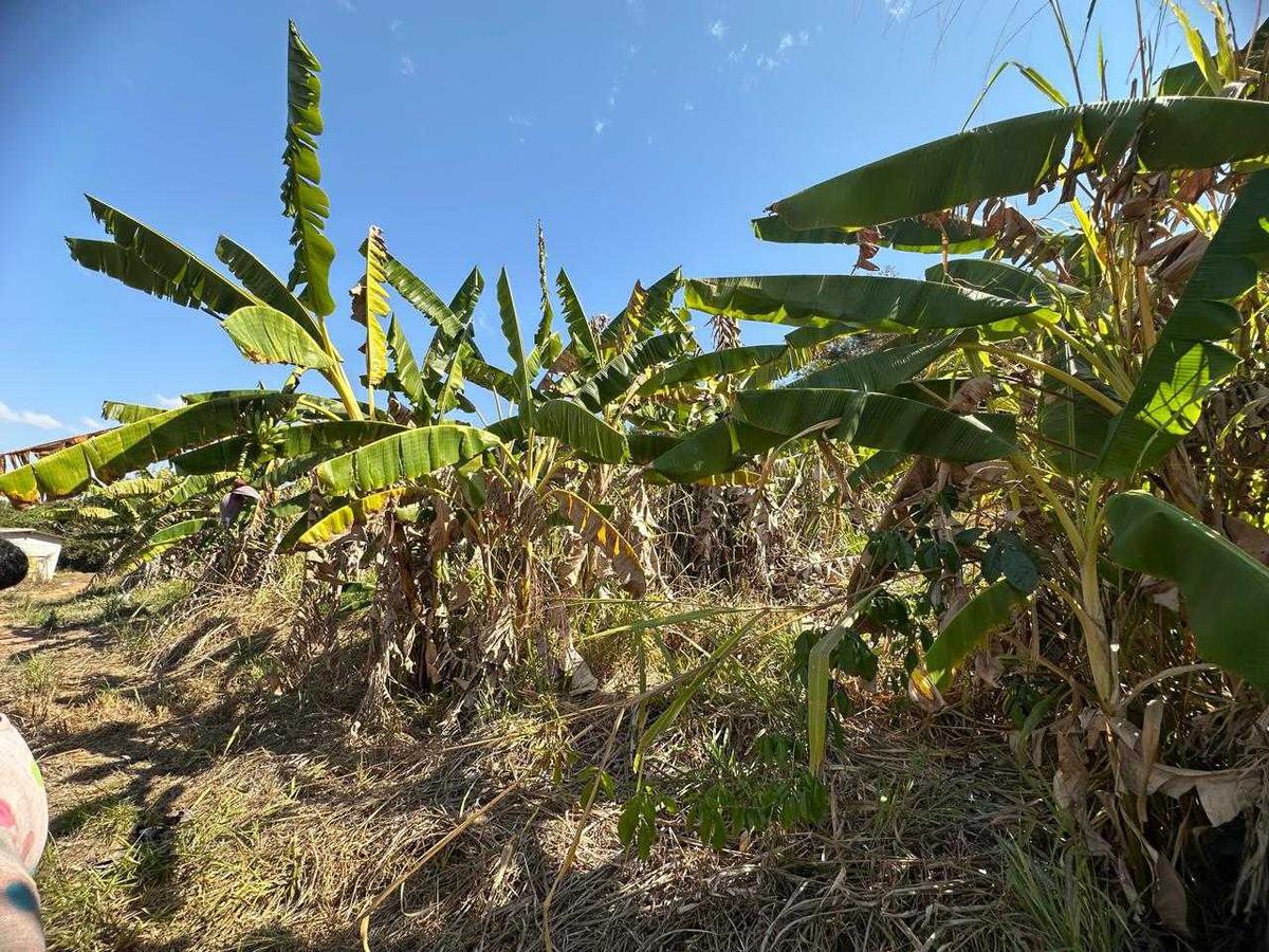 Fazenda, Zona Rural, 0 Quarto, 0 Vaga