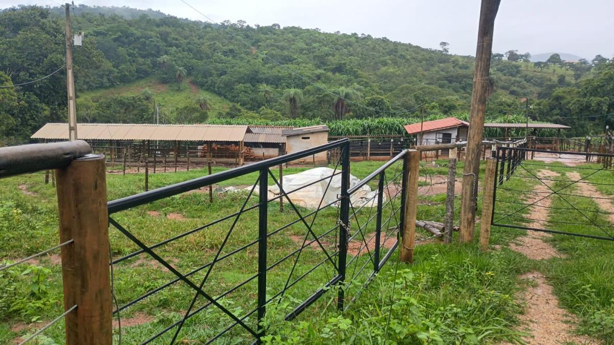 Fazenda, Centro, 3 Quartos, 100 Vagas