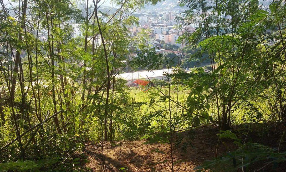 Lote, Jardim Panorama, 0 Quarto, 0 Vaga