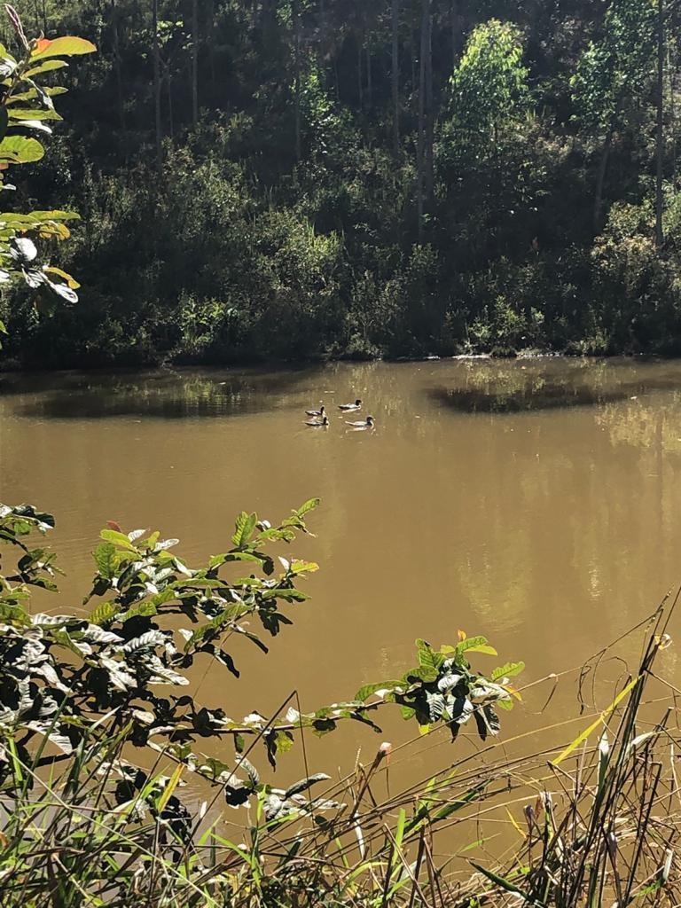 Fazenda, Centro, 3 Quartos, 10 Vagas, 1 Suíte