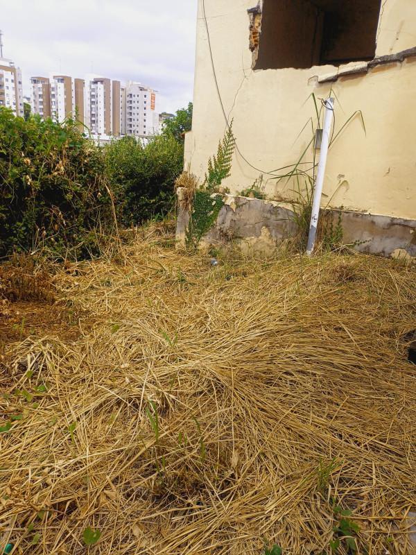 Lote, Coração Eucarístico, 0 Quarto, 0 Vaga