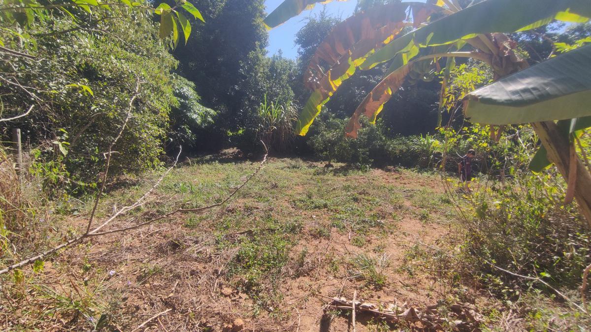 Lote, Centro, 0 Quarto, 0 Vaga