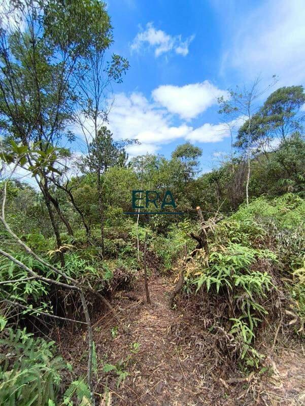Lote, Parque do Engenho, 0 Quarto, 0 Vaga