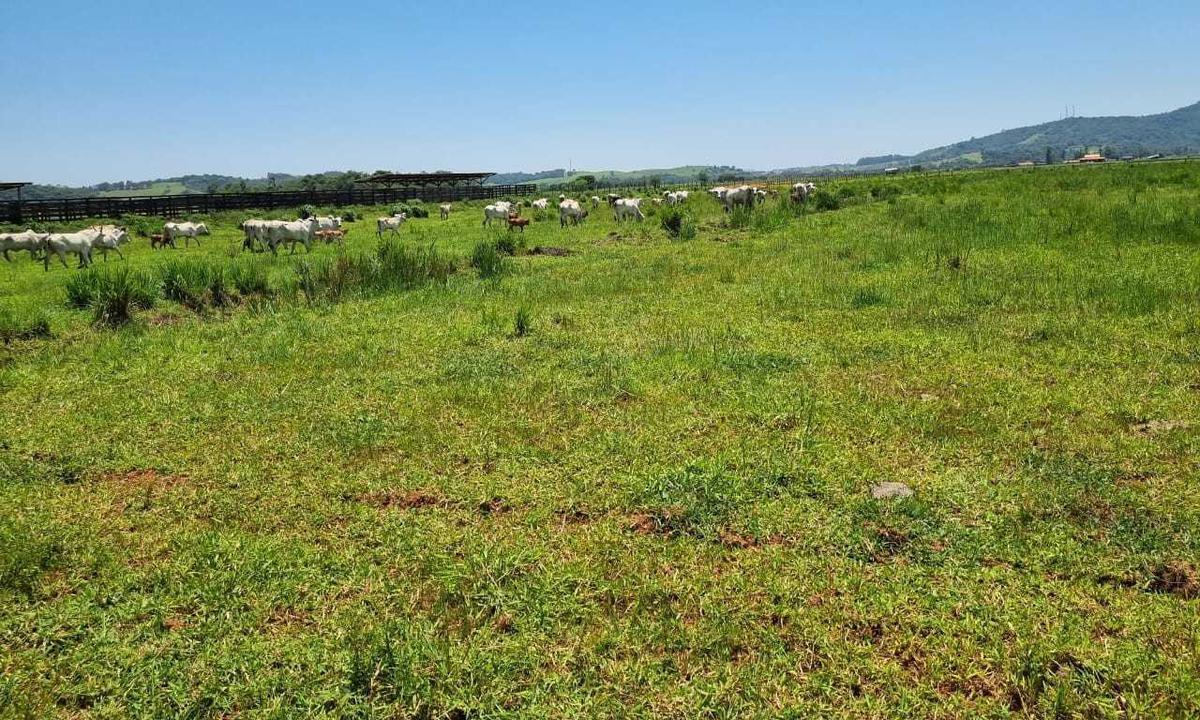 Fazenda, Centro, 0 Quarto, 0 Vaga