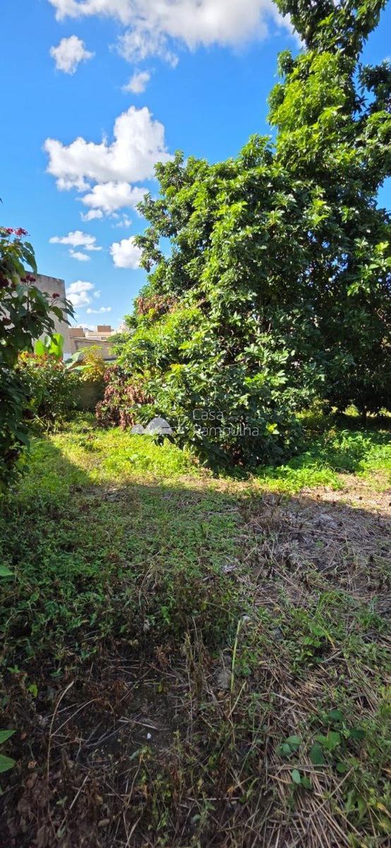 Lote, Santa Amélia, 0 Quarto, 0 Vaga