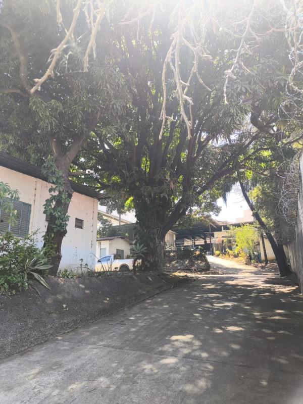 Galpão, São João Batista (venda Nova), 0 Quarto, 5 Vagas