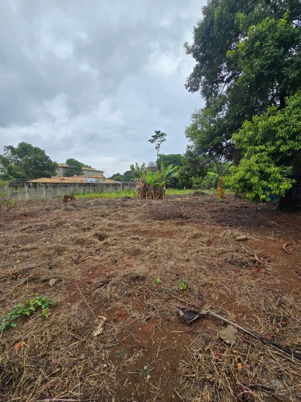 Lote, Chácara Novo Horizonte, 0 Quarto, 0 Vaga