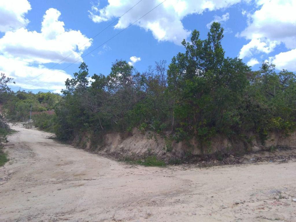 Lote, Ravena, 0 Quarto, 0 Vaga