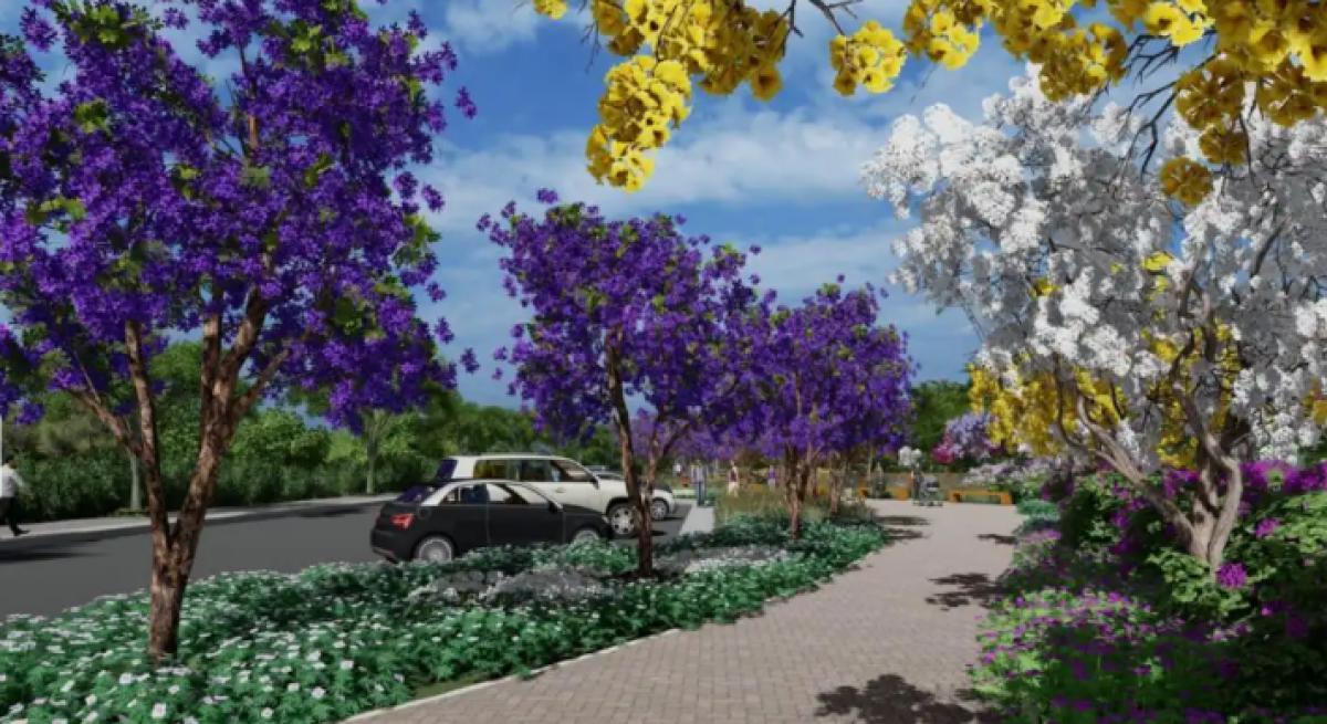 Lote, Vila Castela, 0 Quarto, 0 Vaga