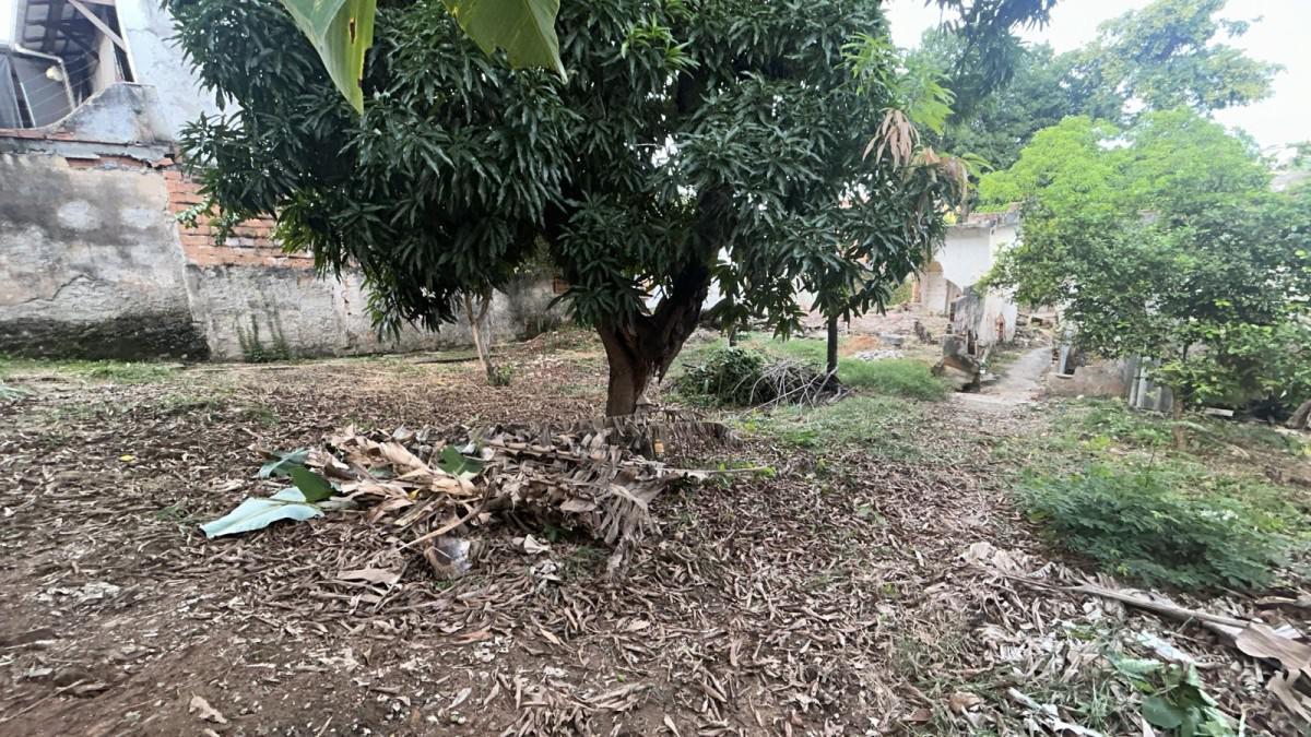 Lote, Planalto, 0 Quarto, 0 Vaga