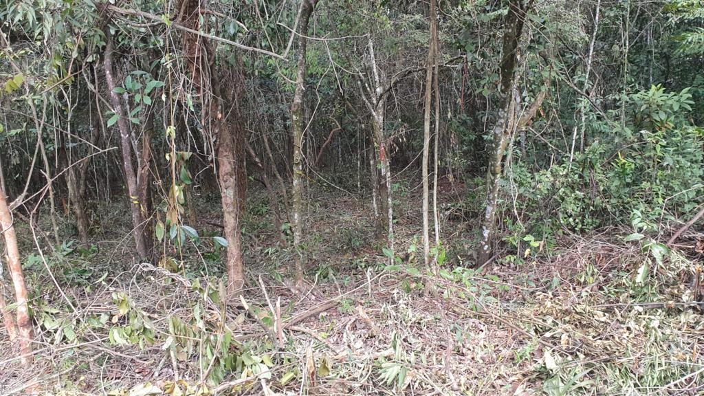 Lote em Condomínio, Quintas do Sol