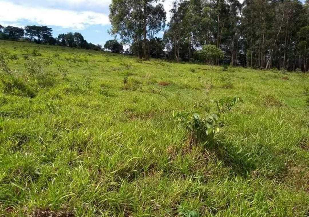 Fazenda, Zona Rural, 1 Quarto, 0 Vaga