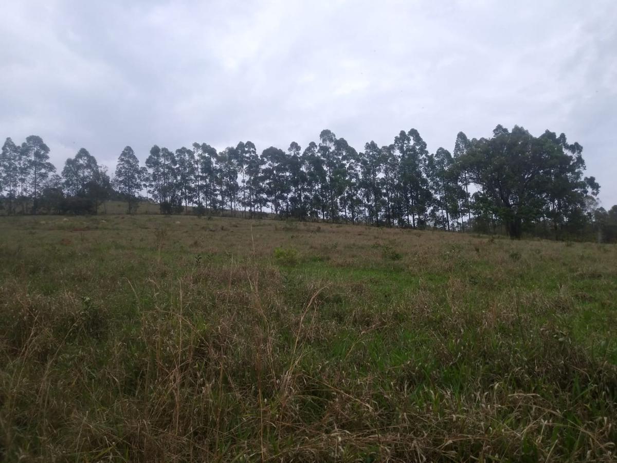 Fazenda, Zona Rural, 3 Quartos, 0 Vaga