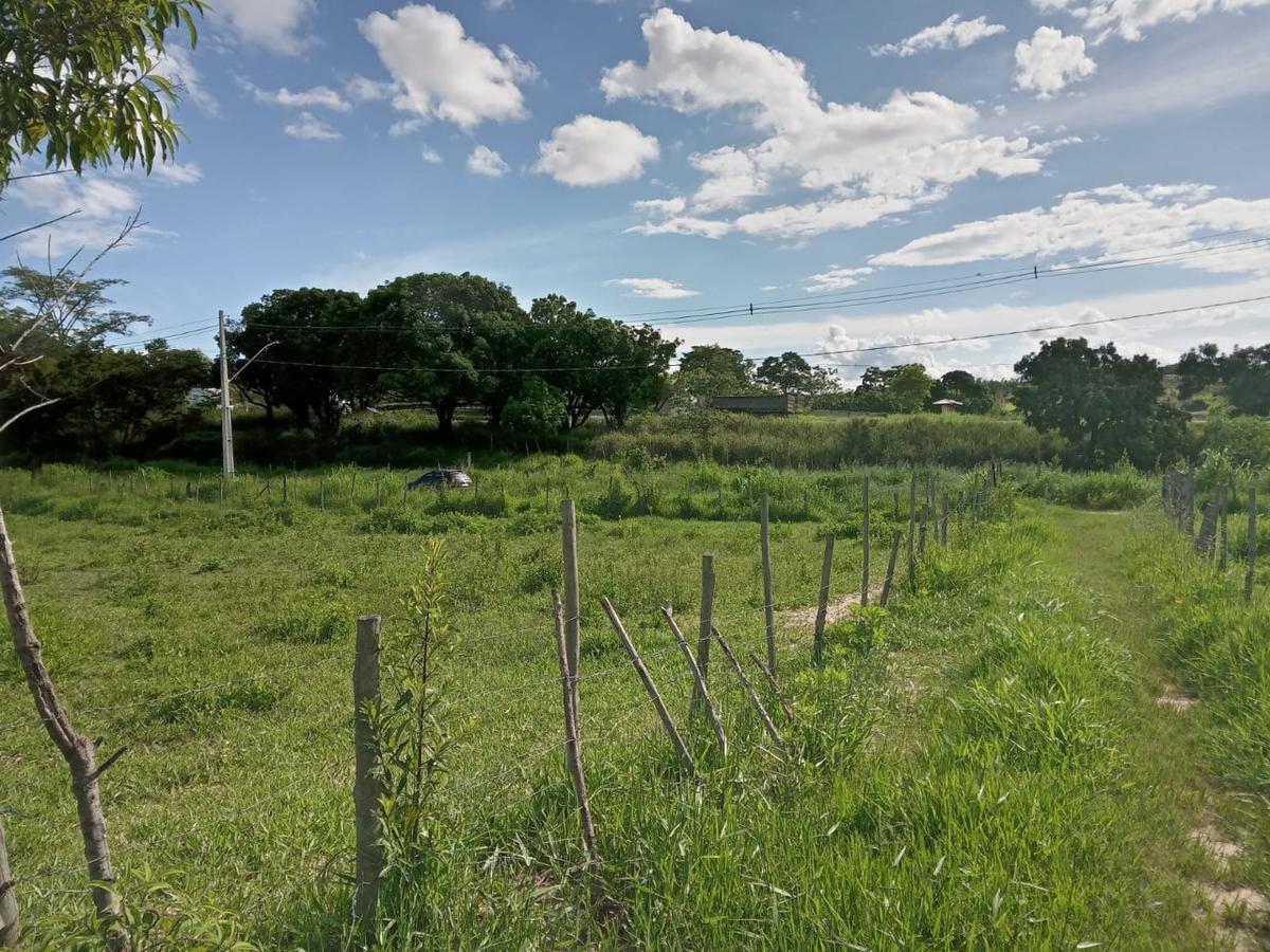 Lote, Vale do Palmital, 0 Quarto, 0 Vaga