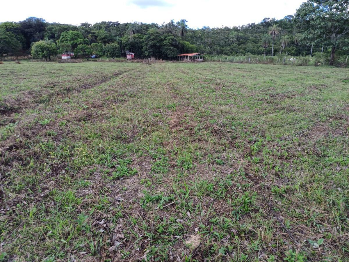 Fazenda, Centro, 3 Quartos, 10 Vagas