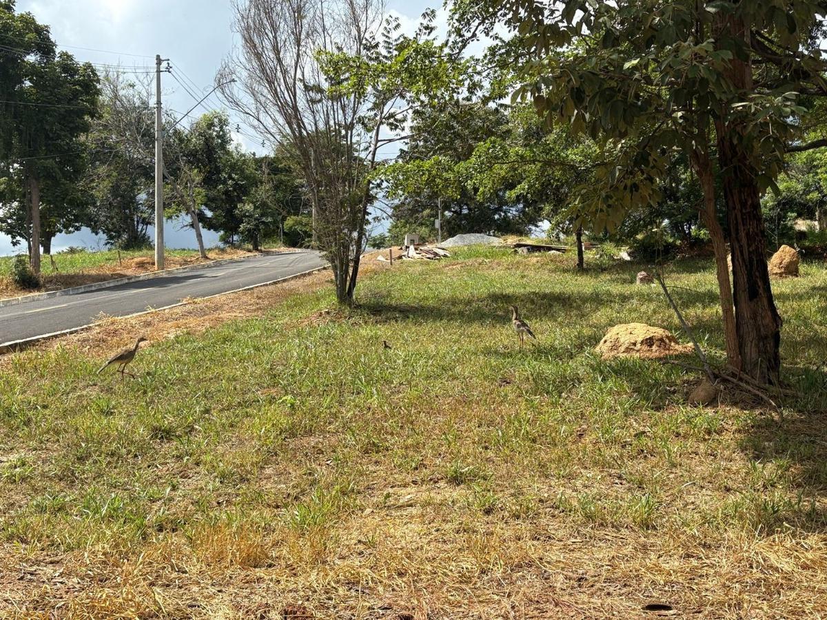 Lote, Zona Rural, 0 Quarto, 0 Vaga