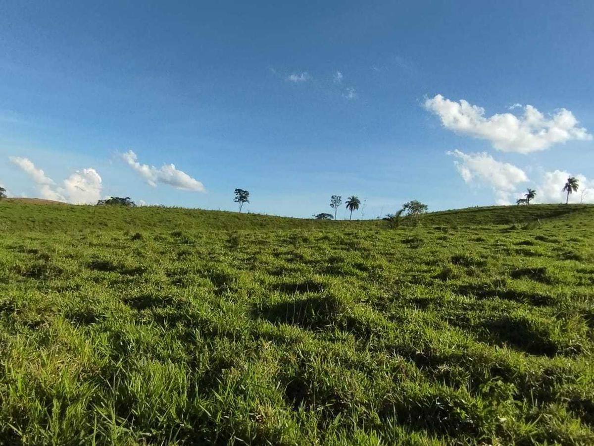 Fazenda, Zona Rural, 3 Quartos, 0 Vaga