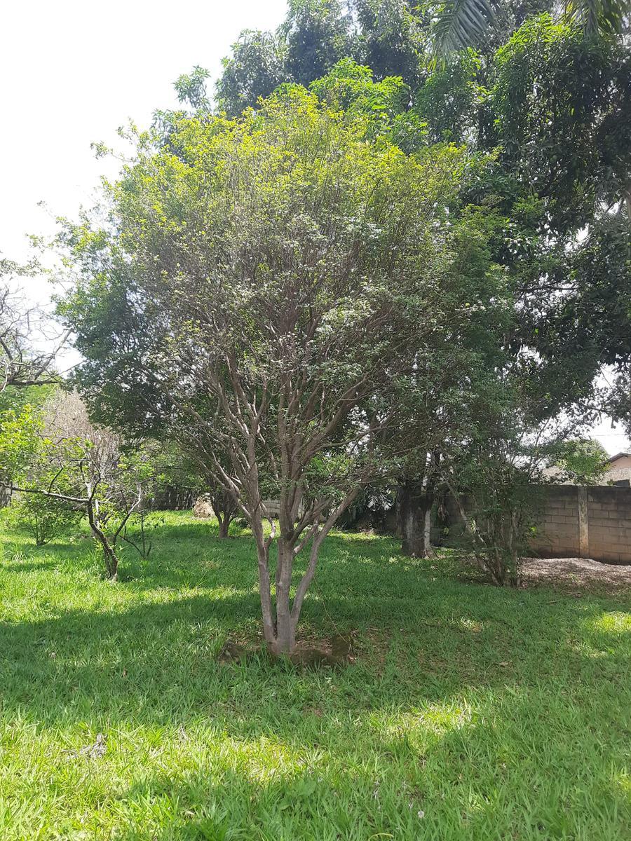 Casa, Braúnas, 6 Quartos, 20 Vagas, 4 Suítes