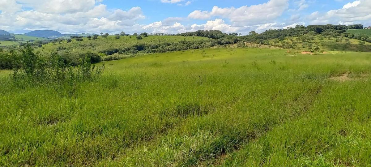 Fazenda, Centro, 5 Quartos, 2 Vagas