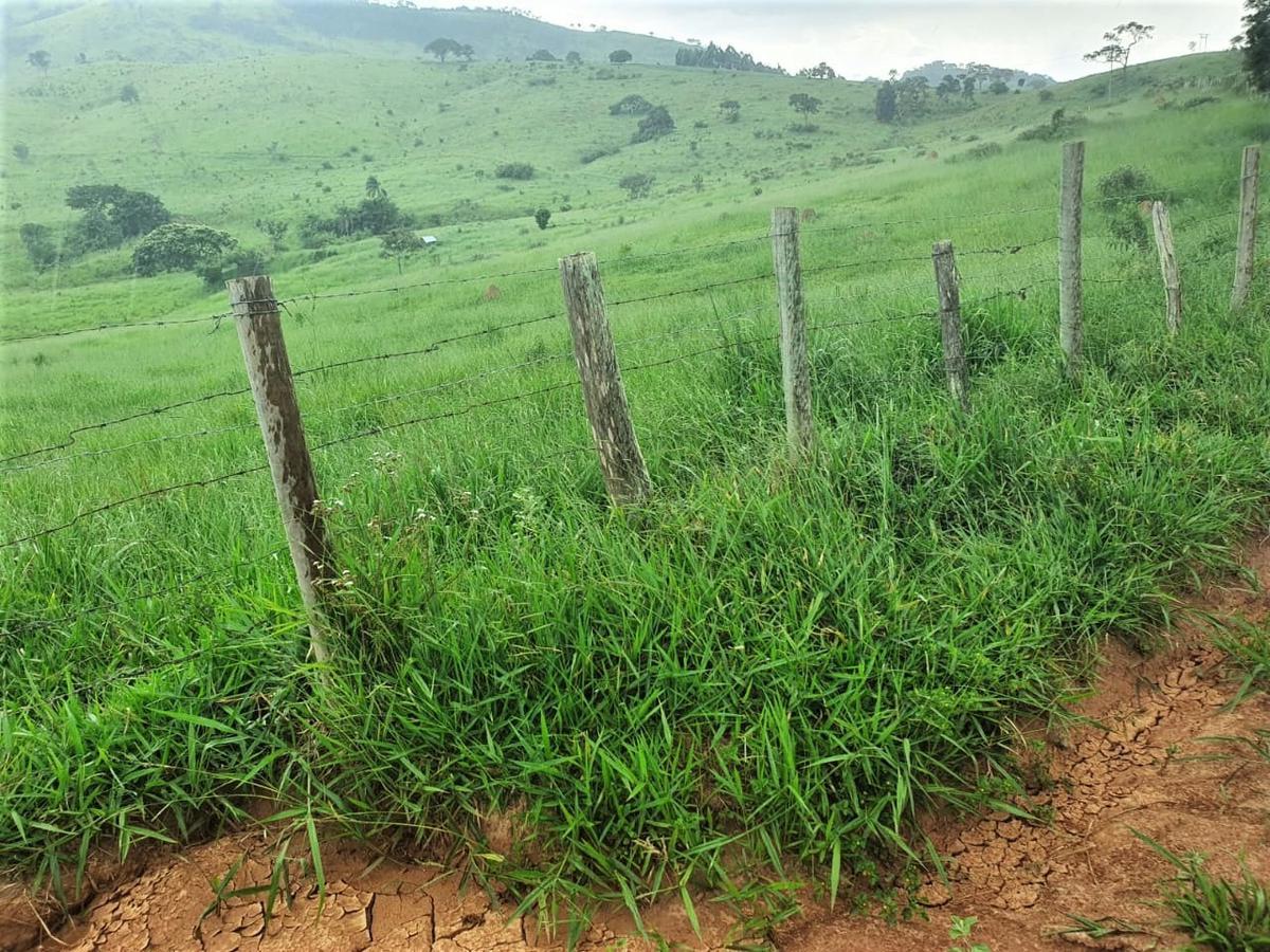Fazenda, Centro, 3 Quartos, 0 Vaga