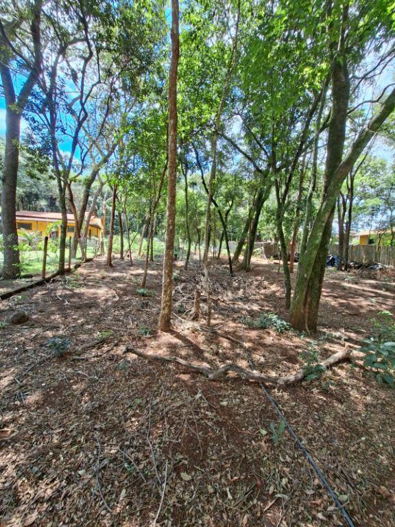 Lote, Casa Branca, 0 Quarto, 0 Vaga