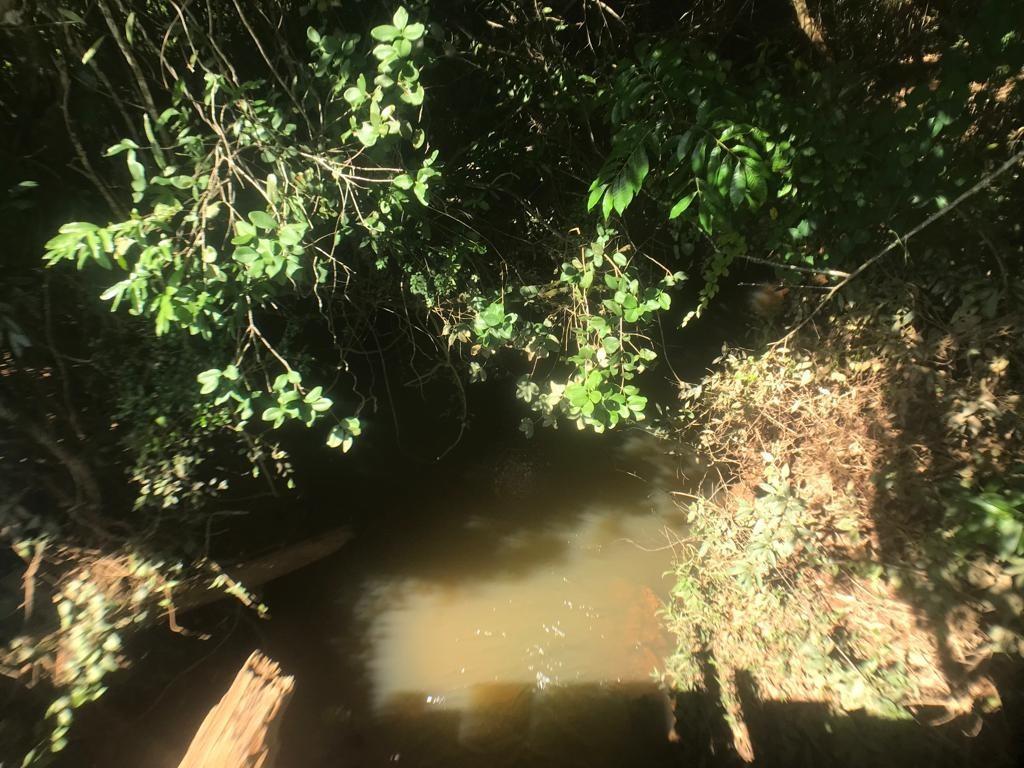 Fazenda, Zona Rural, 3 Quartos, 2 Vagas