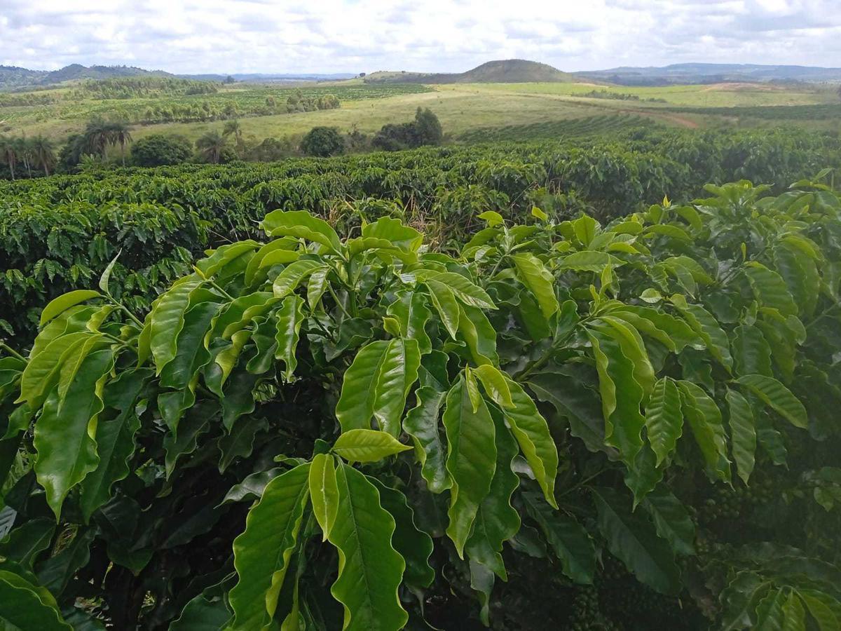 Fazenda, Zona Rural, 2 Quartos, 0 Vaga
