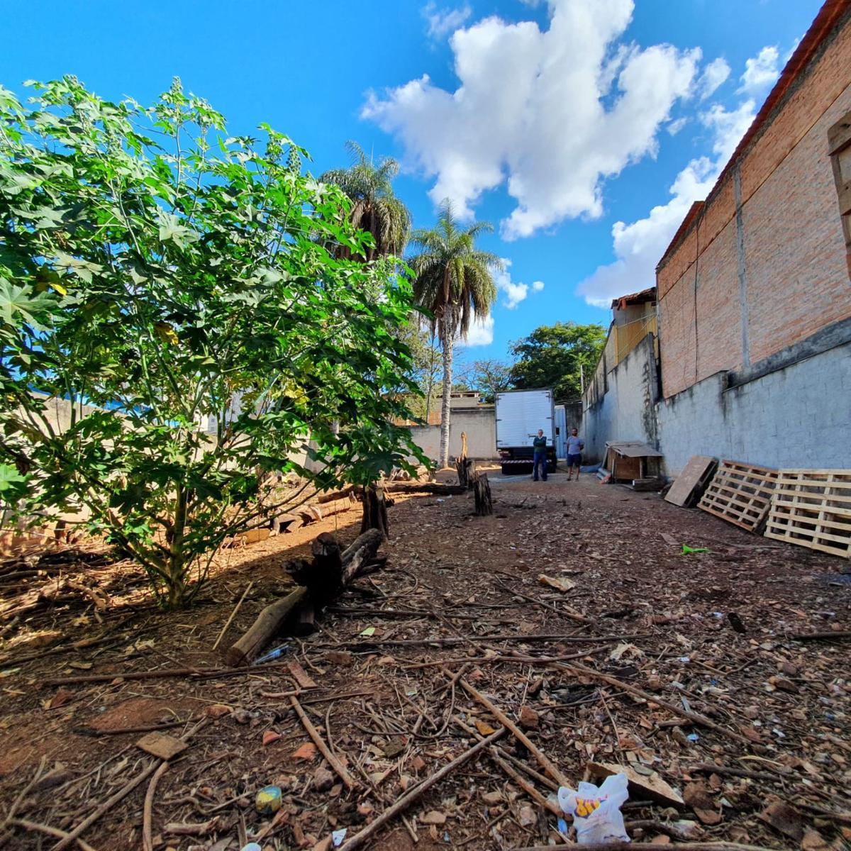 Lote, Cenáculo, 0 Quarto, 0 Vaga