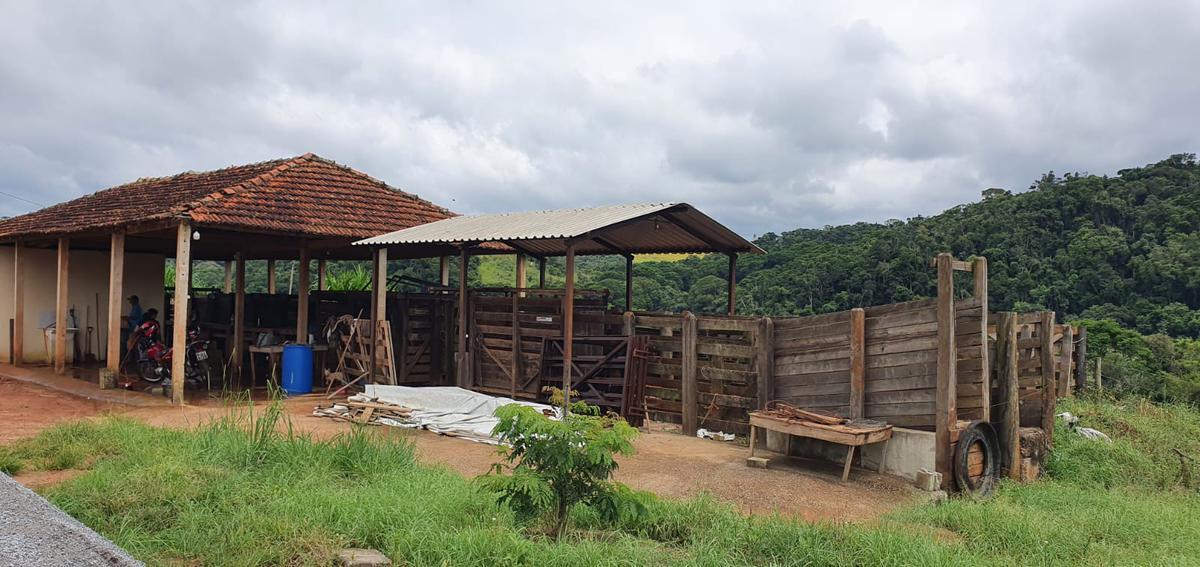 Fazenda, Centro, 4 Quartos, 2 Vagas, 1 Suíte