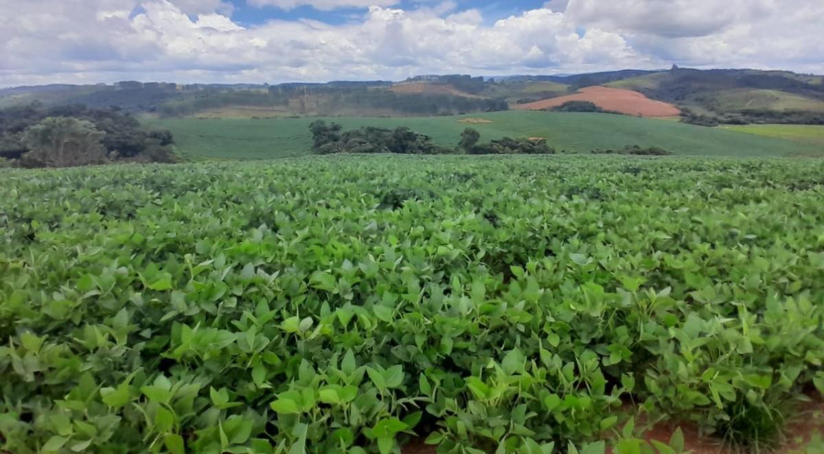Fazenda, Zona Rural, 0 Quarto, 0 Vaga