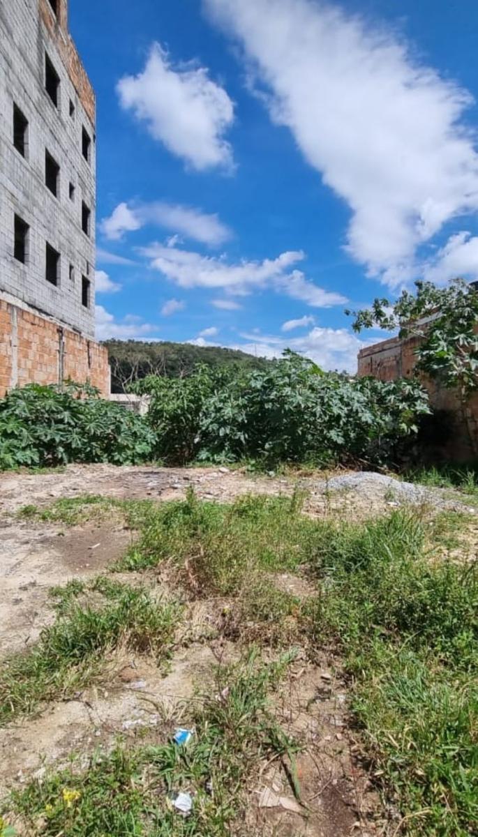 Lote, Palmeiras, 0 Quarto, 0 Vaga