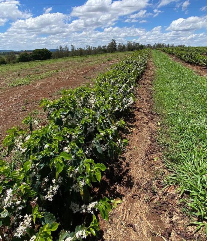 Fazenda, Zona Rural, 0 Quarto, 0 Vaga