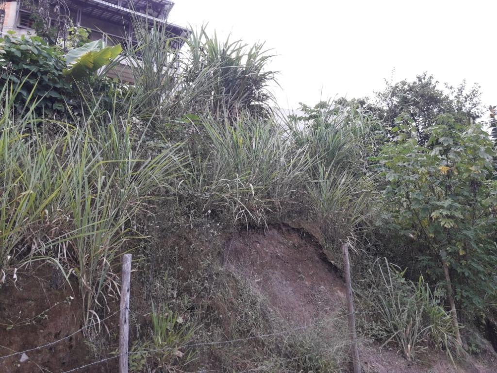 Lote, Morro São Francisco, 0 Quarto, 0 Vaga
