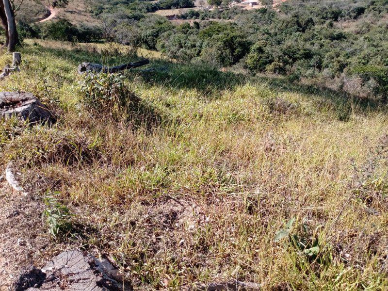 Lote, Centro, 0 Quarto, 0 Vaga