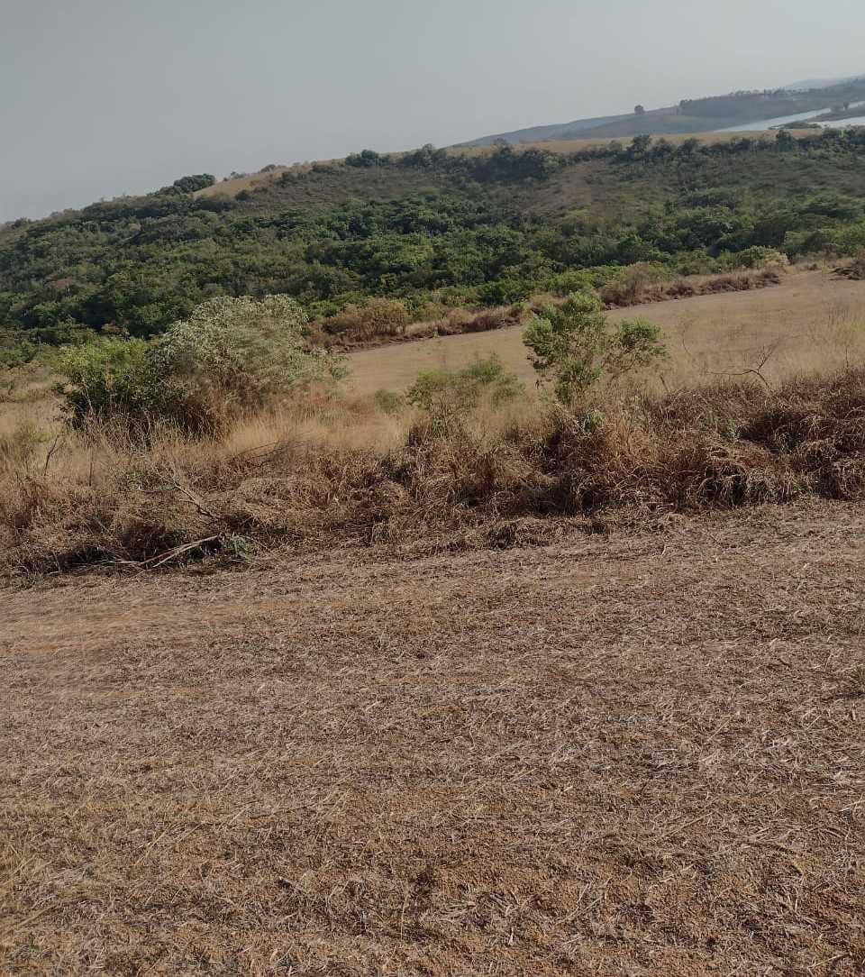 Fazenda, Zona Rural, 1 Quarto, 0 Vaga