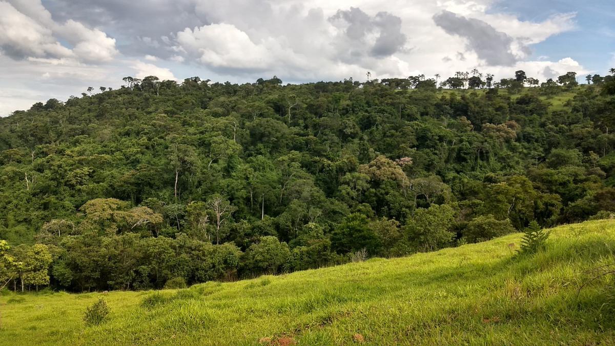 Fazenda, Zona Rural, 0 Quarto, 0 Vaga