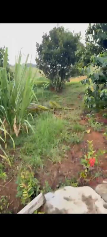 Fazenda, Zona Rural, 0 Quarto, 0 Vaga