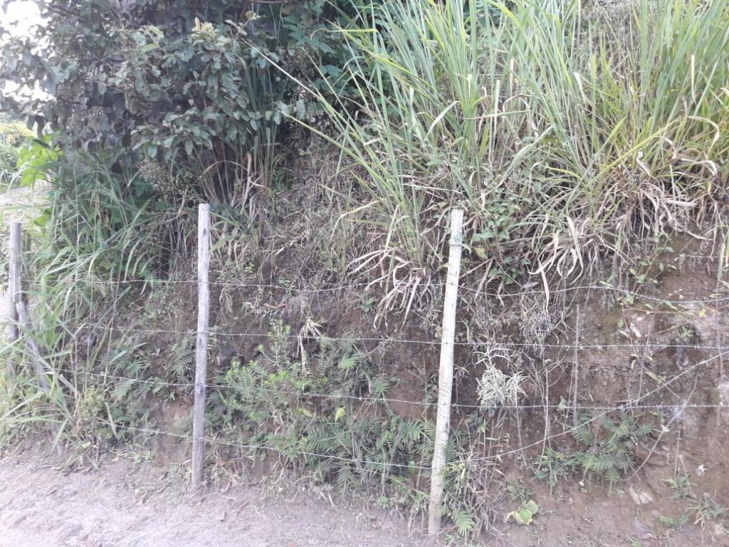 Lote, Morro São Francisco, 0 Quarto, 0 Vaga