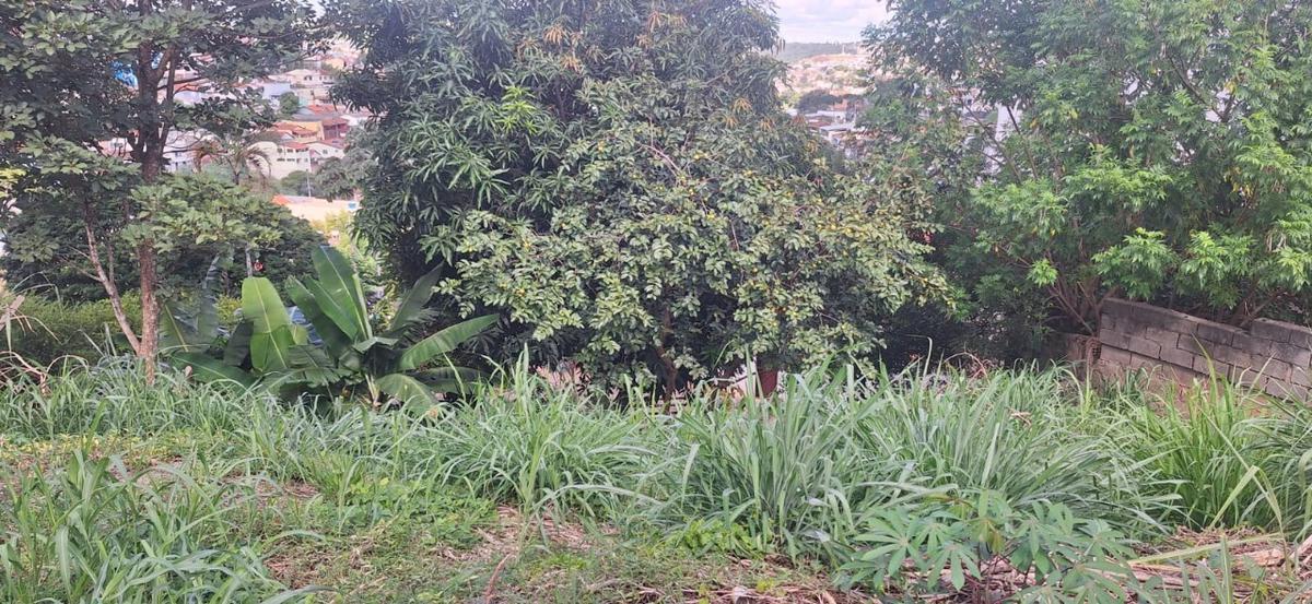 Lote, Centro, 0 Quarto, 0 Vaga